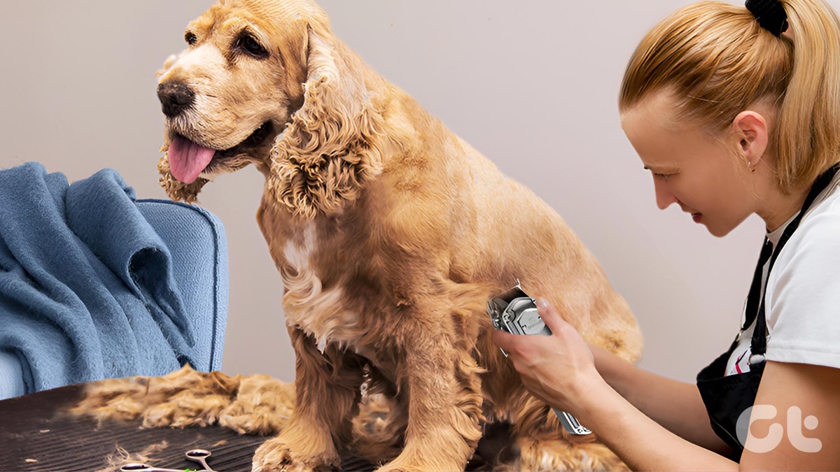 Best Cordless Dog Grooming Clippers in the UK