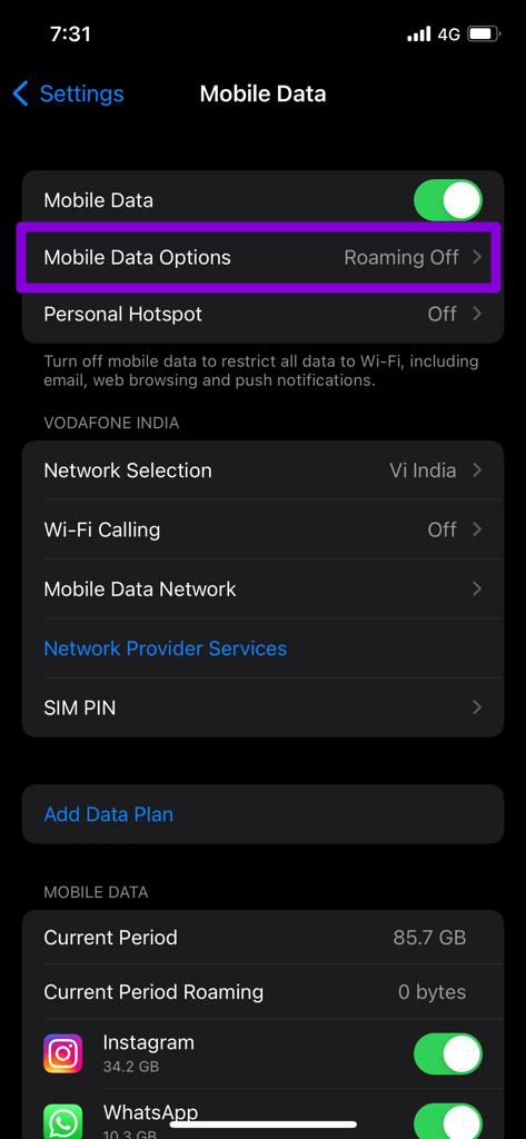 Mobile Data Options on iPhone