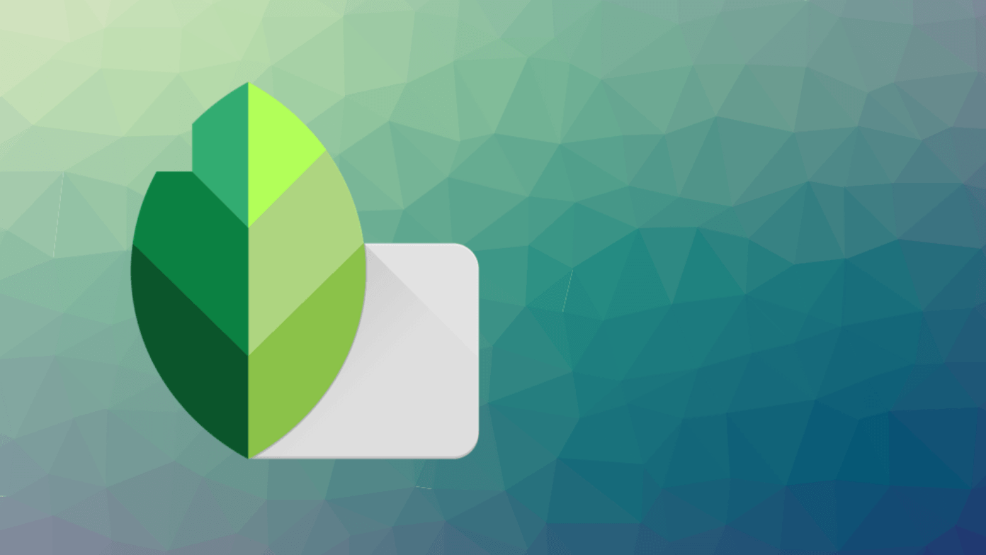 How to Watermark Photos Using Snapseed on Android and iOS