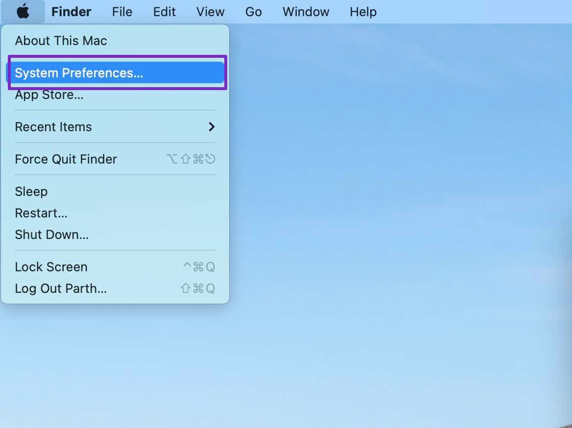 Open system preferences