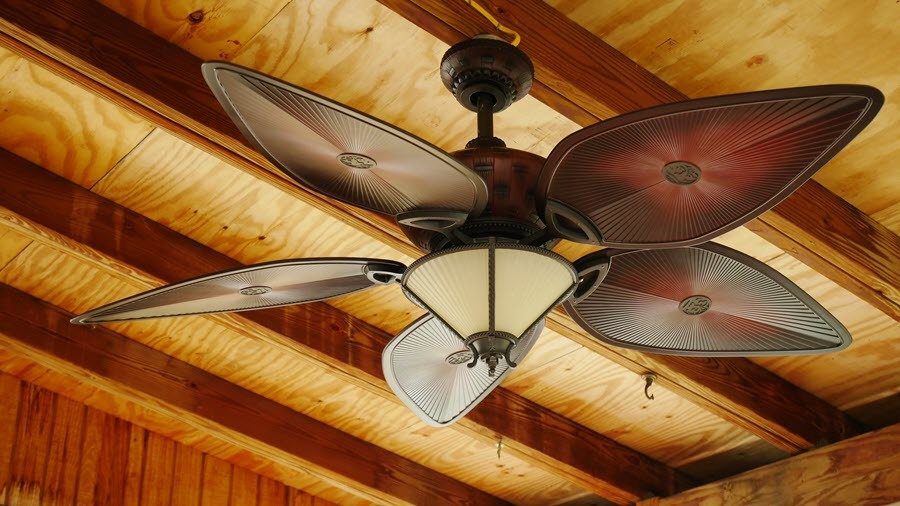 Smart Ceiling Fans That Work With Alexa, Alexa Enabled Ceiling Fan