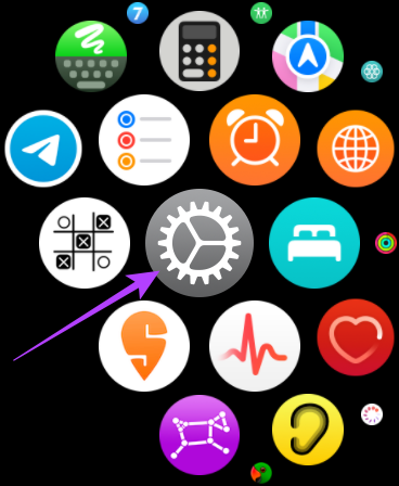 Apple Watch settings app