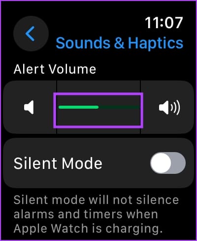Adjust Slider on Apple Watch