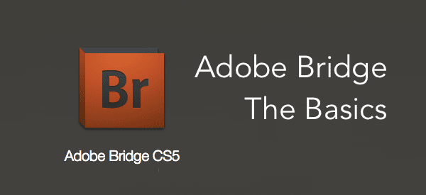 Adobe Bridge App Screen1