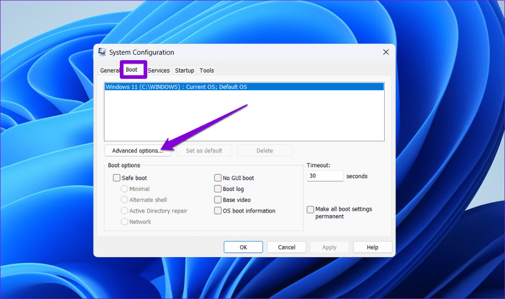 Advanced Boot Options on Windows