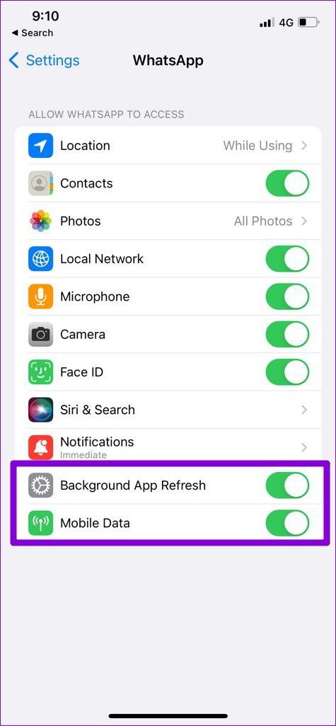 Allow WhatsApp Permissions on iPhone