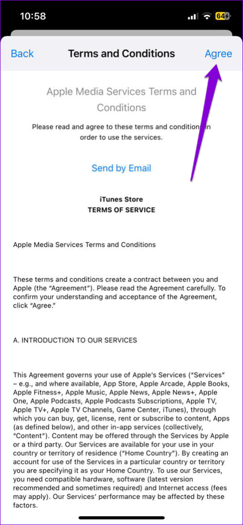 App Store Terms and Conditions