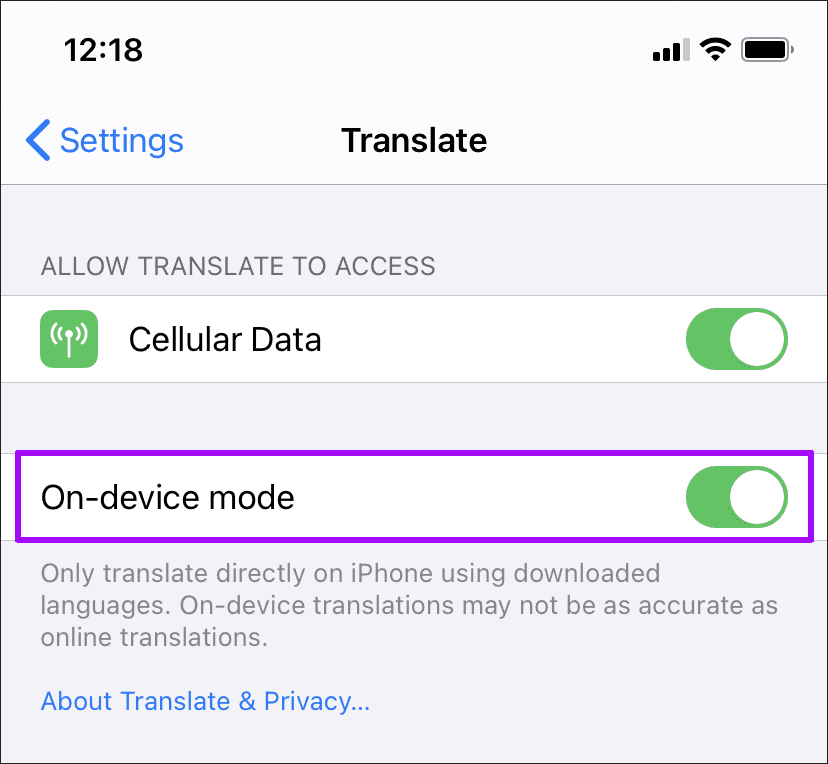 Apple Translate Tips Tricks 14
