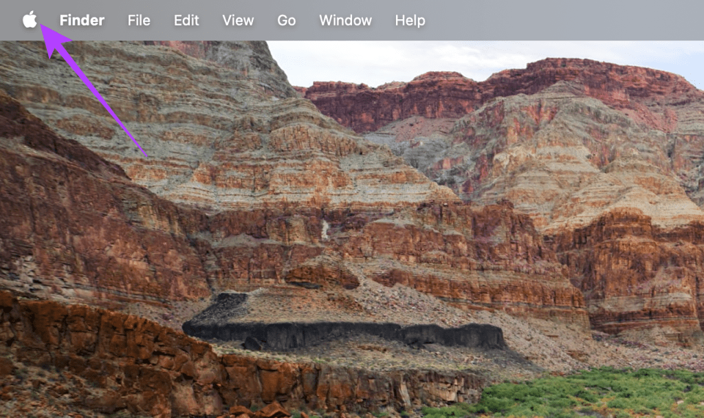 How to Remove Card from Apple Wallet Easily