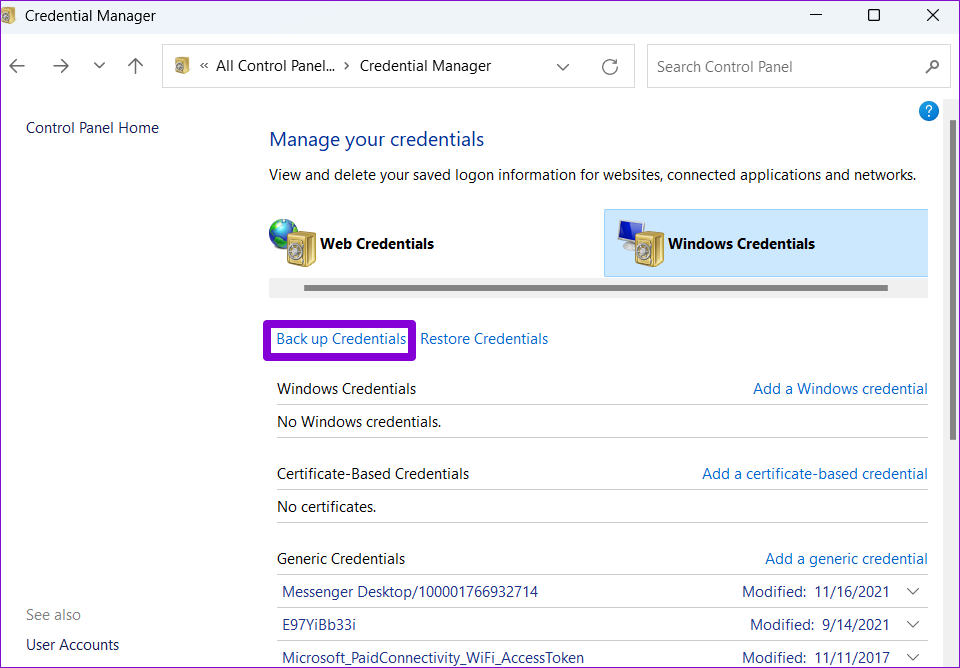 Backup Credentials on Windows Credential Manager