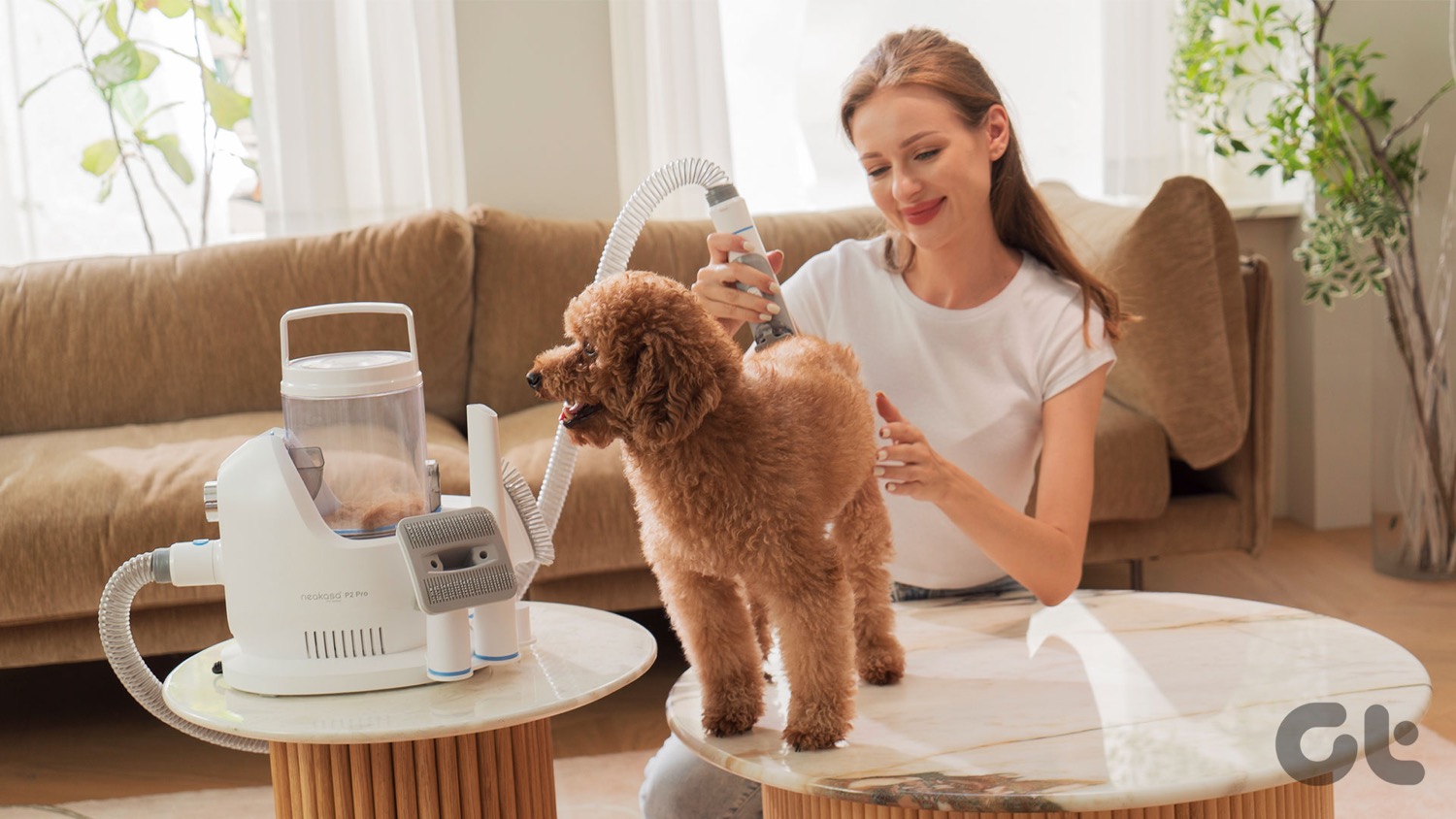 Best Pet Grooming Vacuum Kits in 2023