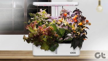 4 Best Smart Garden Kits That You Must Try