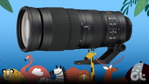 best camera lenses for wildlife photography