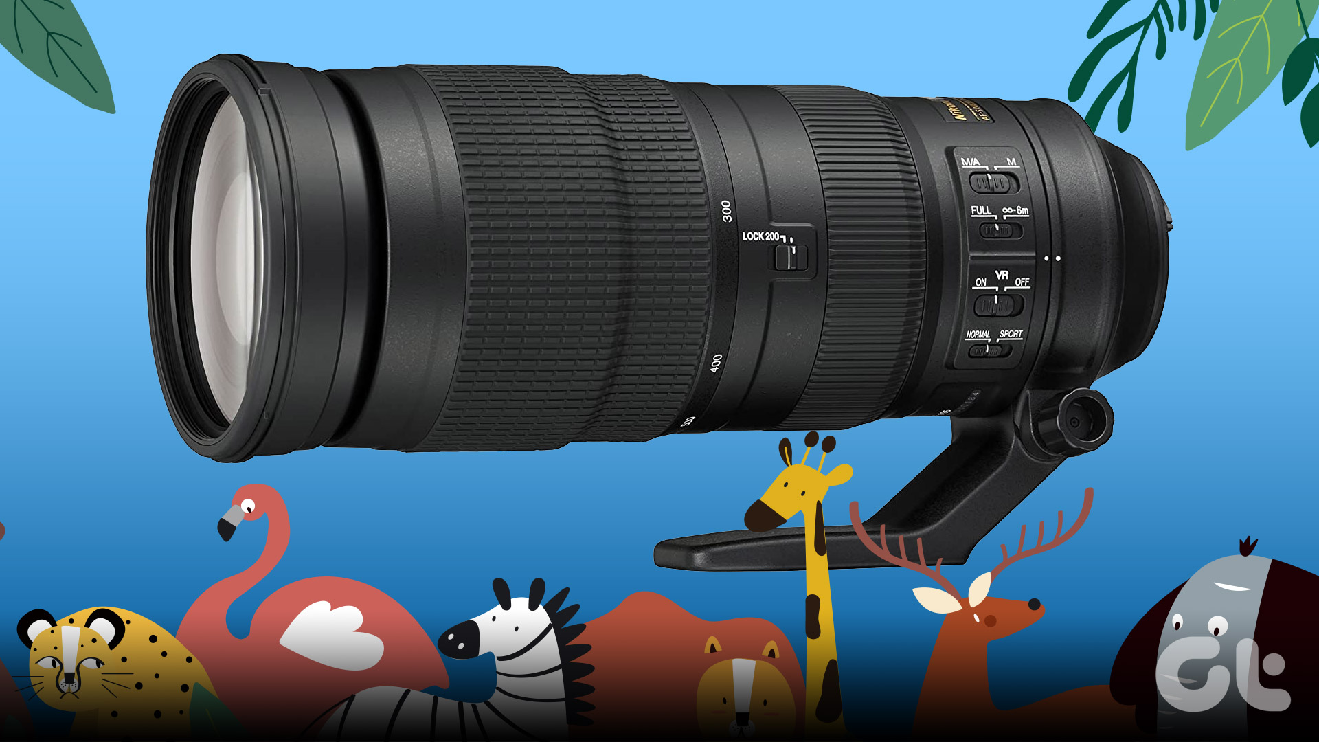6 Best Camera Lenses for Wildlife Photography