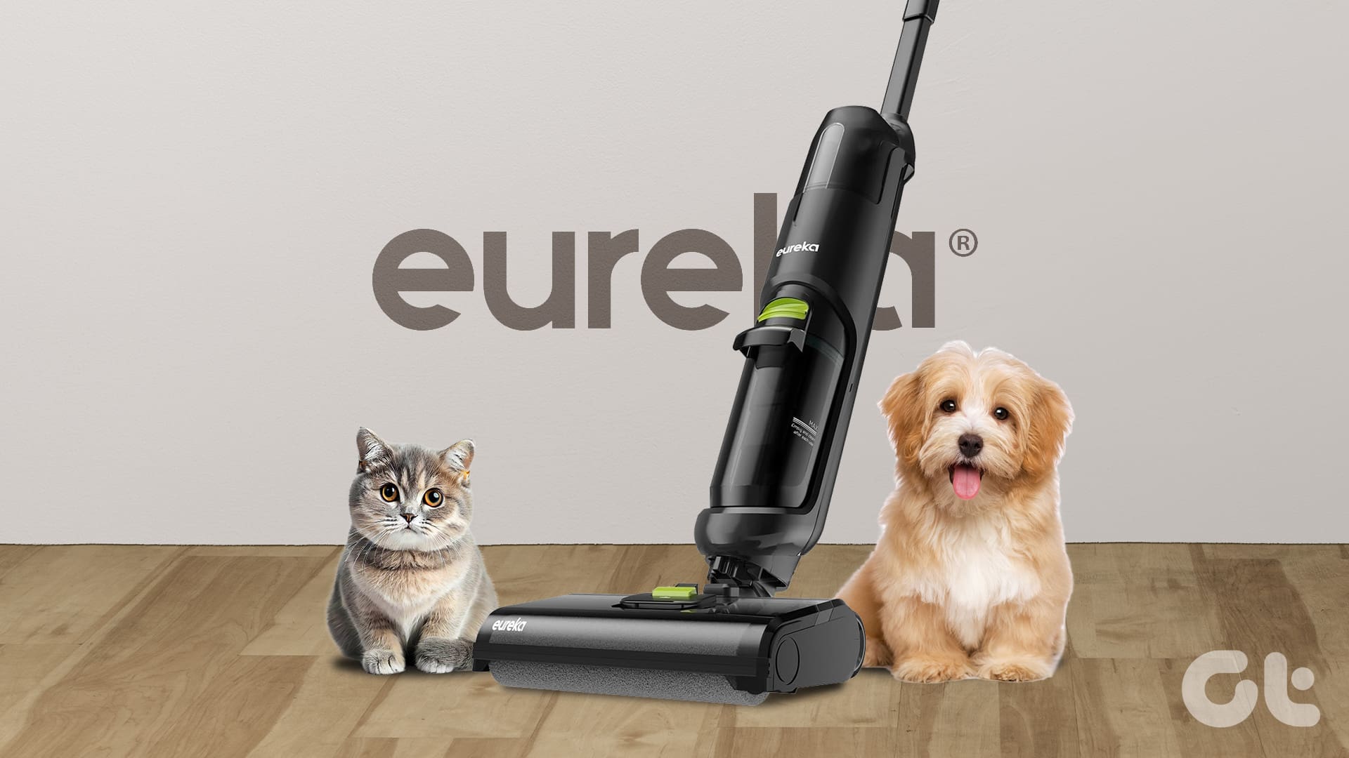 Top 4 Eureka Vacuums for Pet Hair