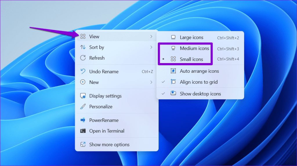Change Desktop Icon Size on Windows