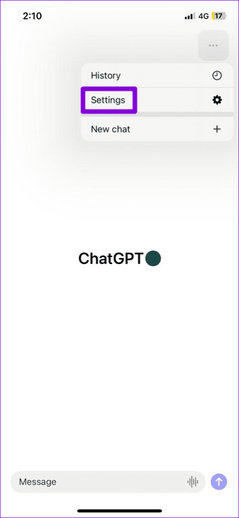 ChatGPT App Settings Menu 1
