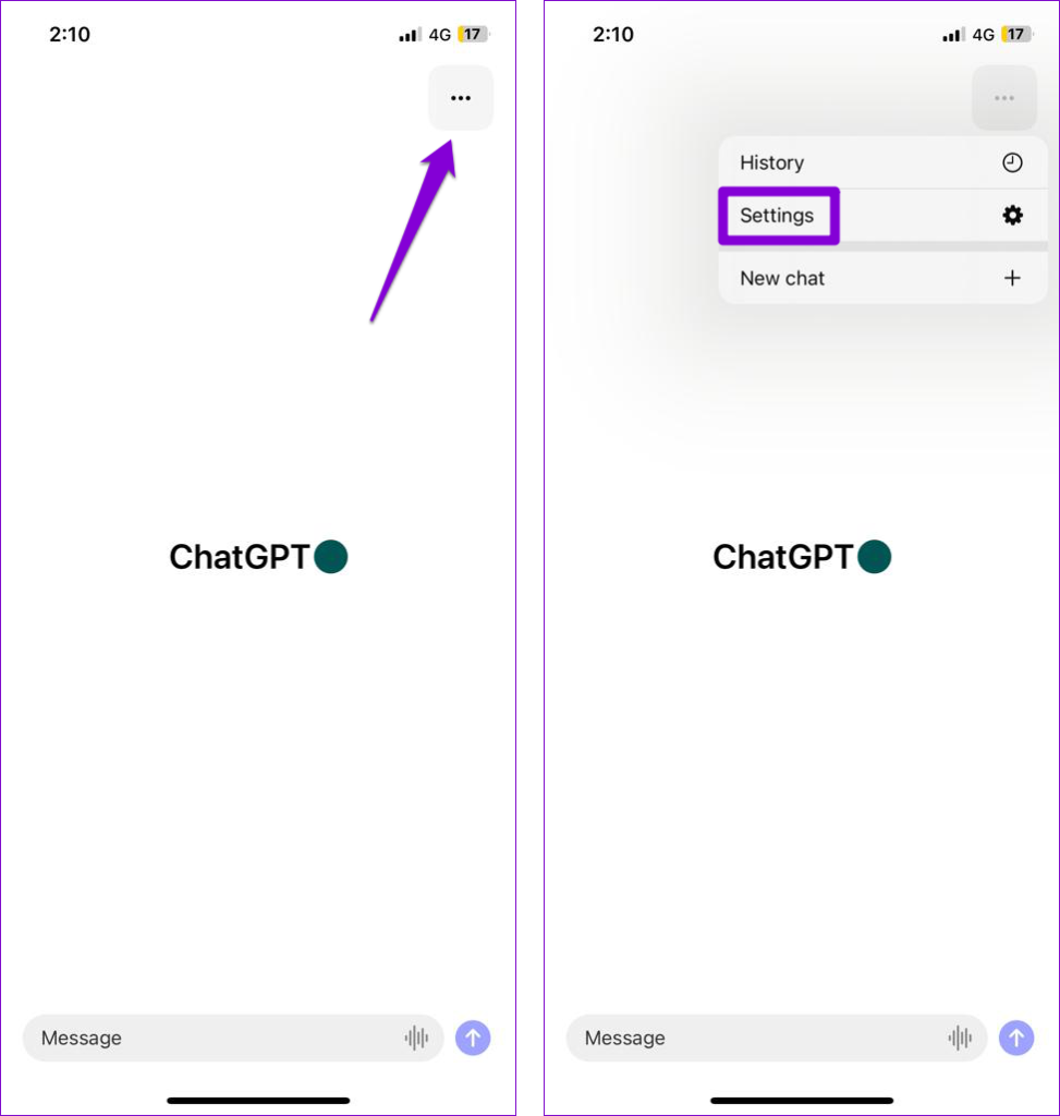 ChatGPT App Settings Menu