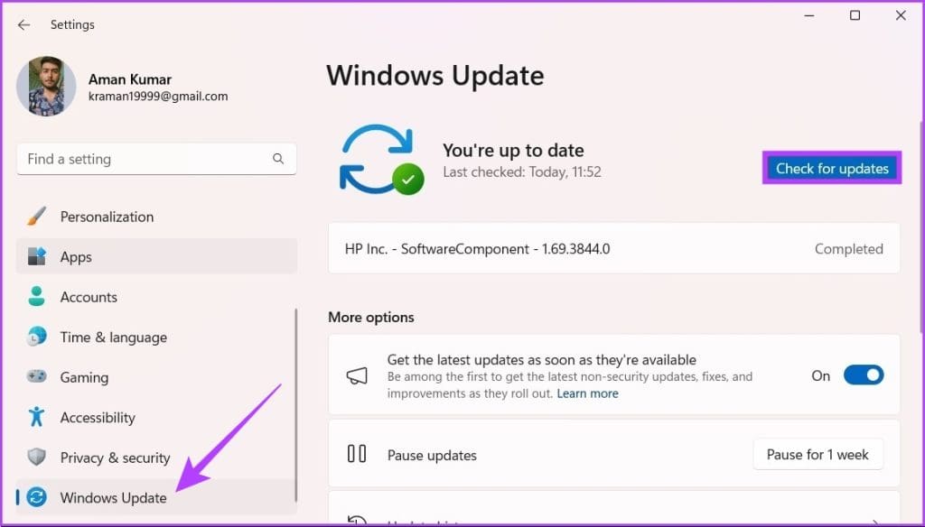 Check for Updates option 2