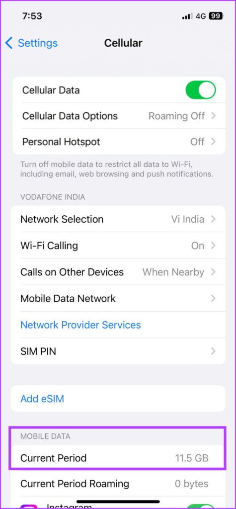 Check cellular data usage on iPhone