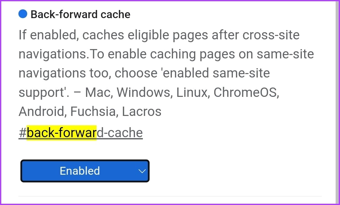 Chrome Back Forward Cache