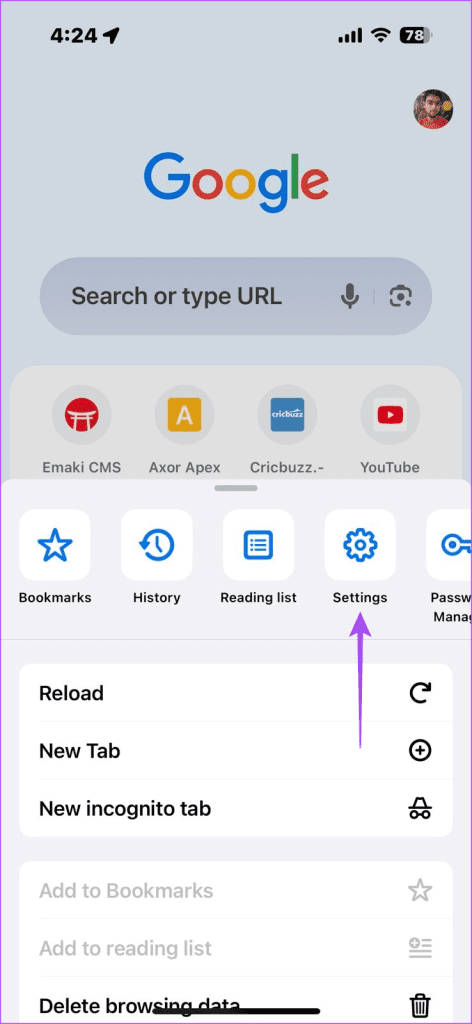 Chrome Settings in iPhone - 3