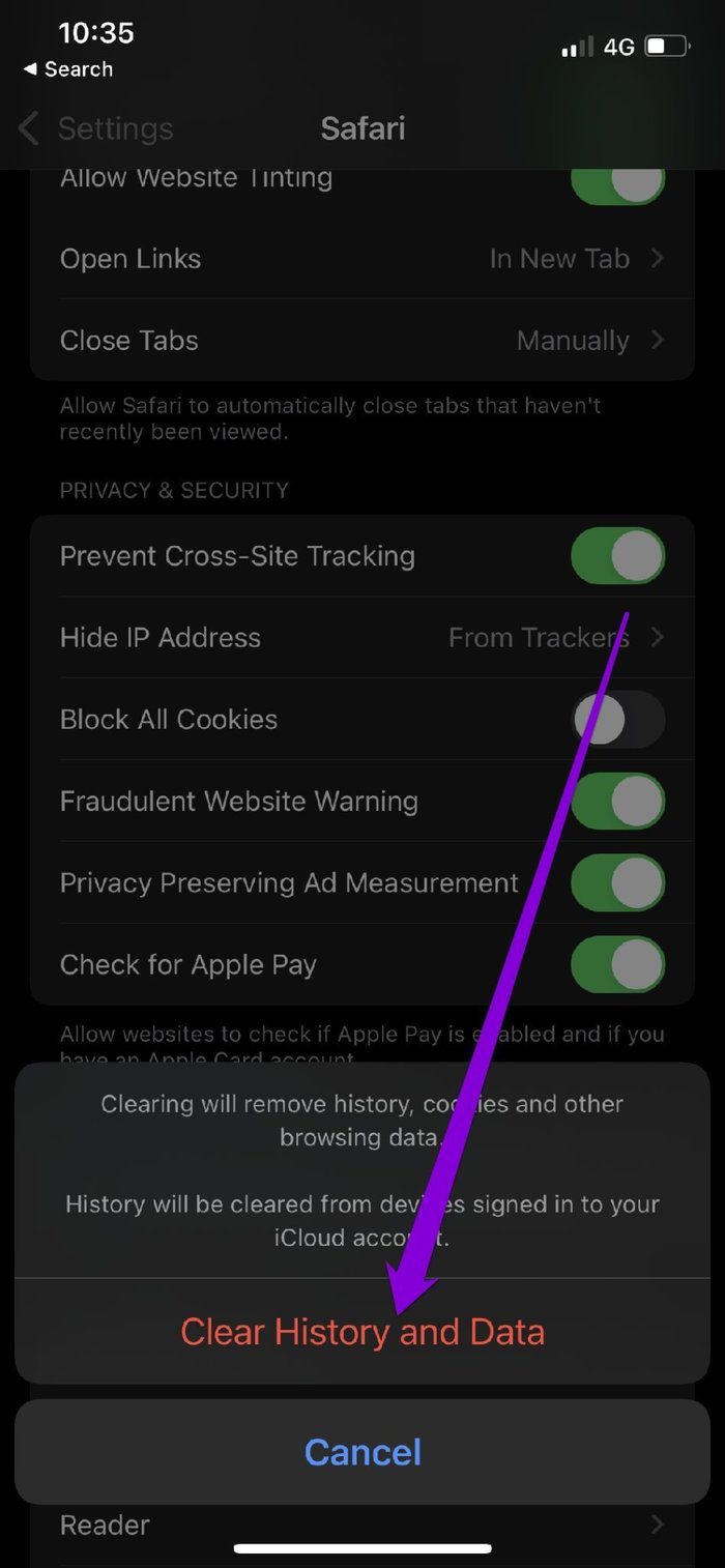 Clear History and Data on Safari