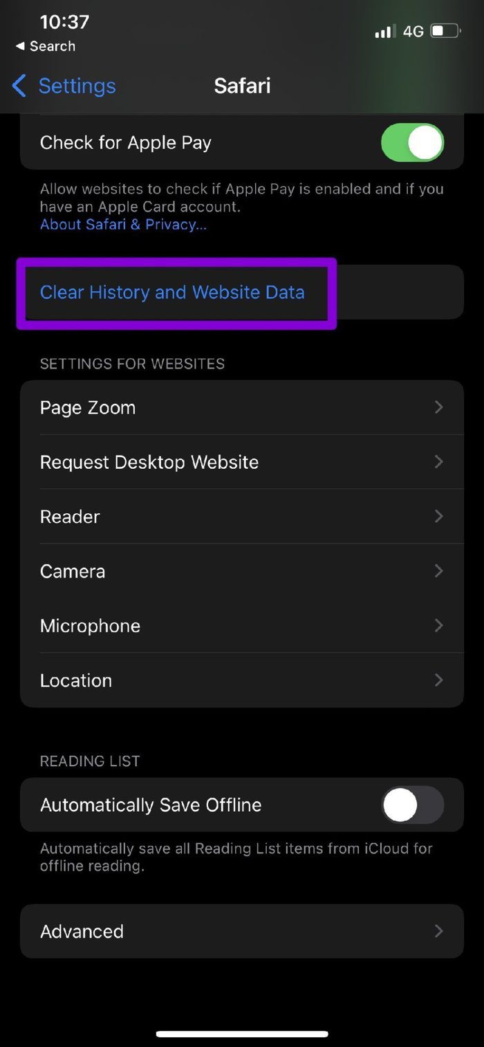Clear History and Website Data on Safari