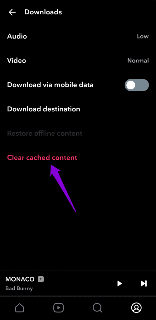 Clear Tidal App Cache
