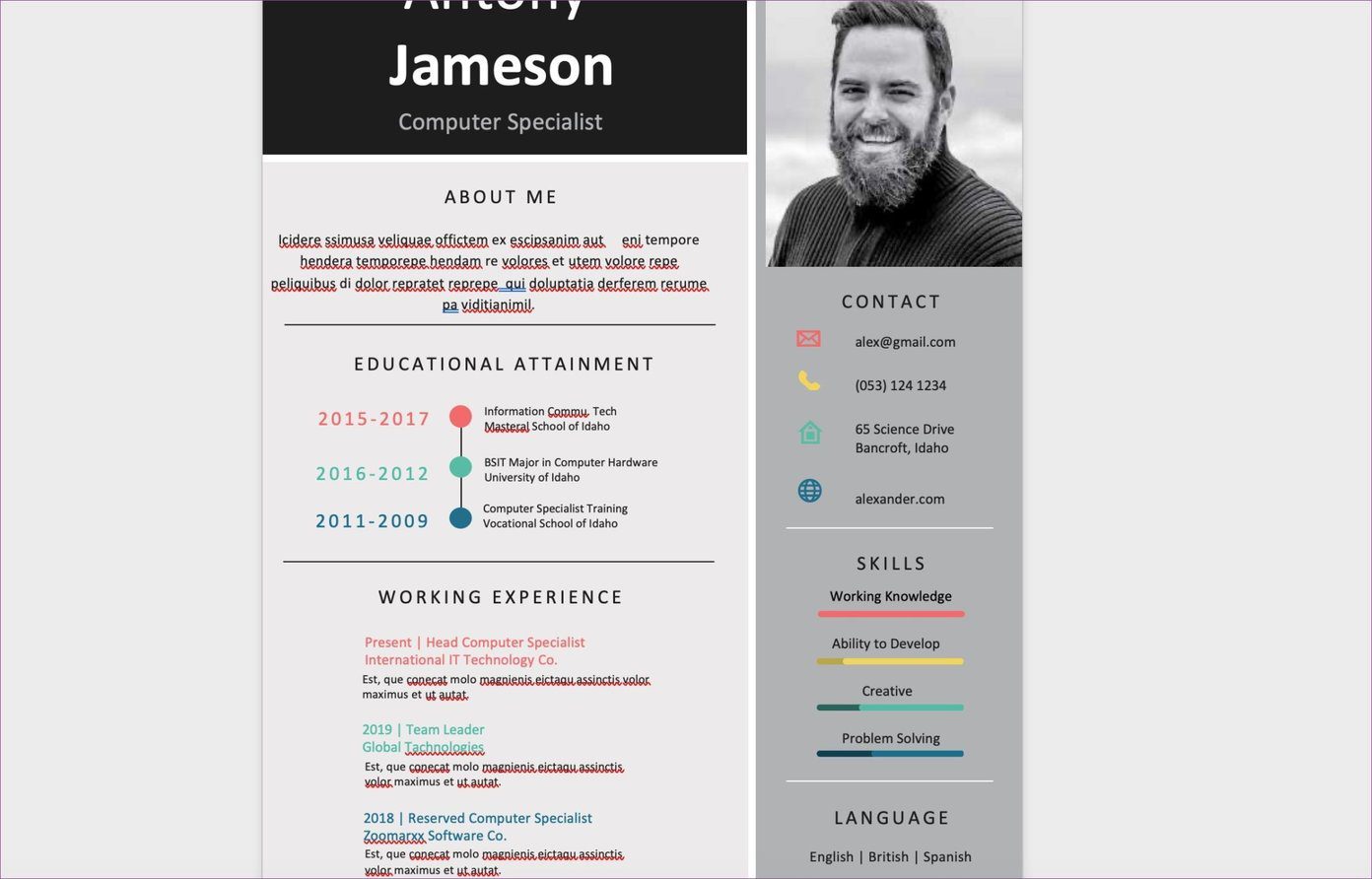 Colorful Resume