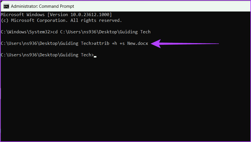 Command to hide a file