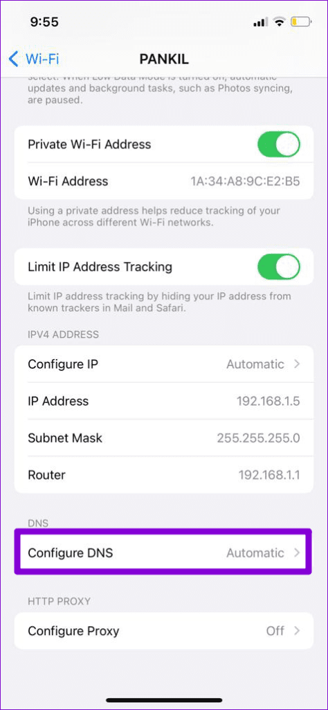 Configure DNS on iPhone