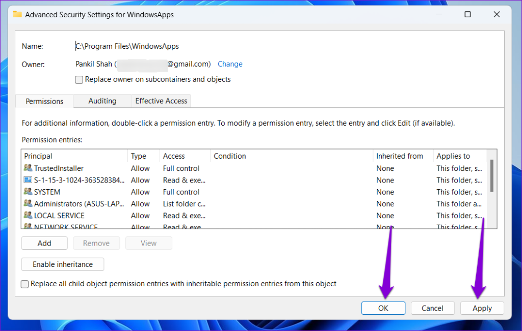 Confirm Change Permissions for WindowsApps Folder on Windows