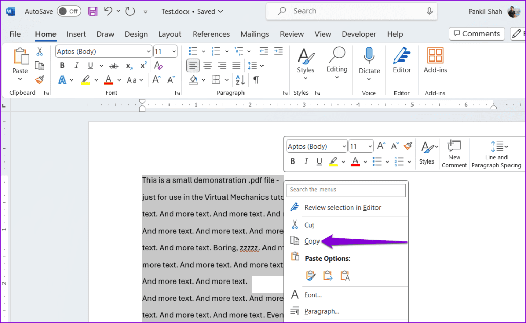 Copy Text in Word
