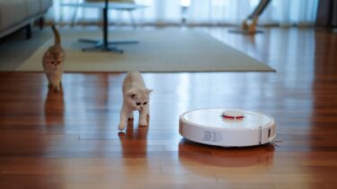 Cordless Vacuum Cleaner vs Robot Vacuum: Which Vacuum Cleaner Should You Buy