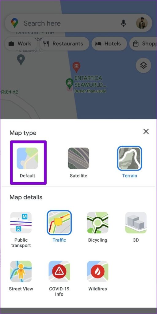 Switch to Default Map View in Google Maps