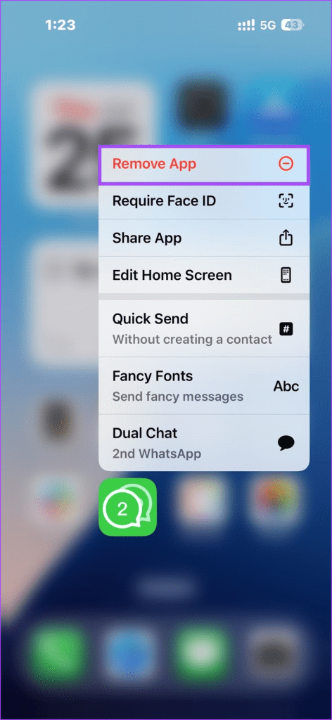 Deleting Duo for WhatsApp from iMessage