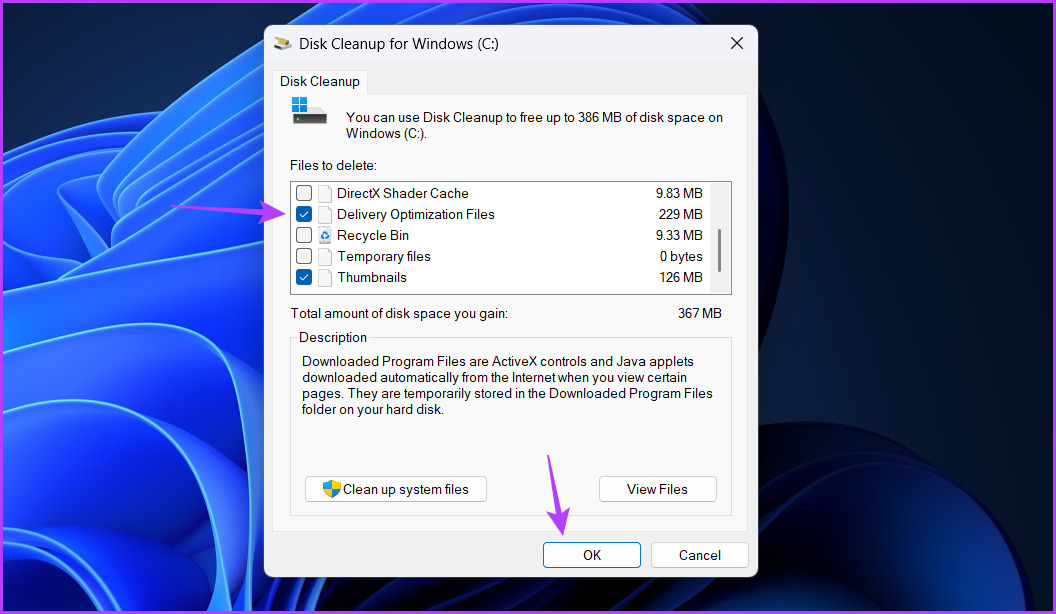 Delivery Optimization Files box in Disk Cleanup