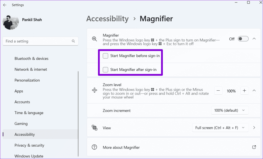 Disable Magnifier on Windows