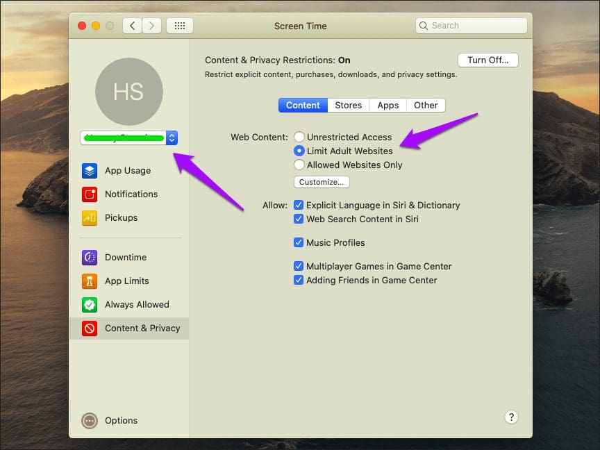 Disable Private Browsing Safari Mac 10