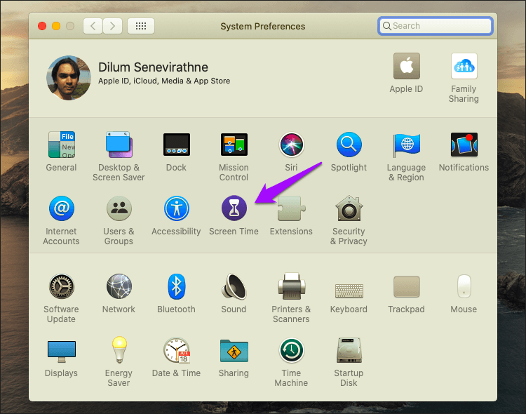 Disable Private Browsing Safari Mac 2