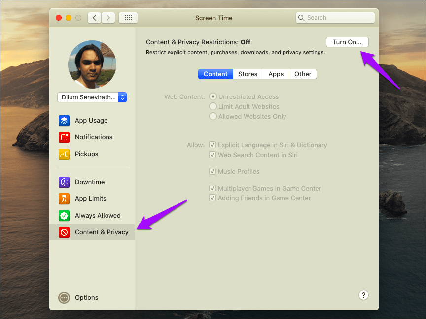 Disable Private Browsing Safari Mac 3