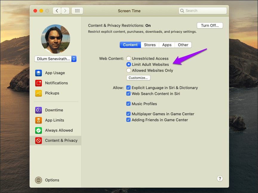 Disable Private Browsing Safari Mac 4