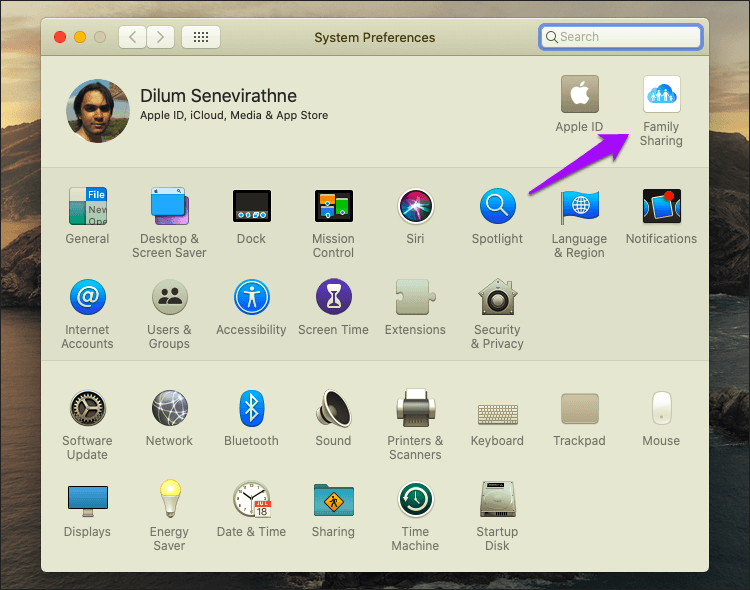 Disable Private Browsing Safari Mac 9