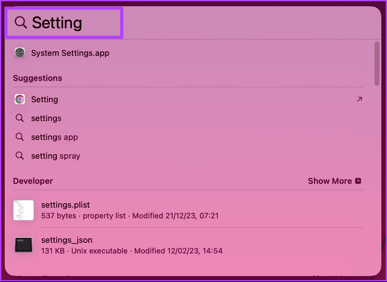 type Settings or System Settings