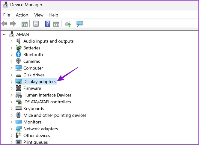 _Display Adapters node in the Device Manager