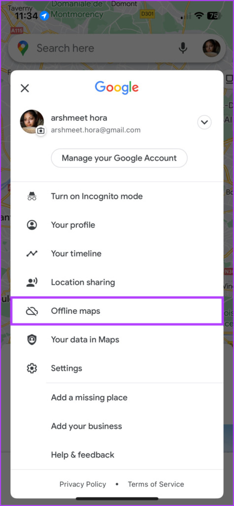 Tap offline maps to download maps