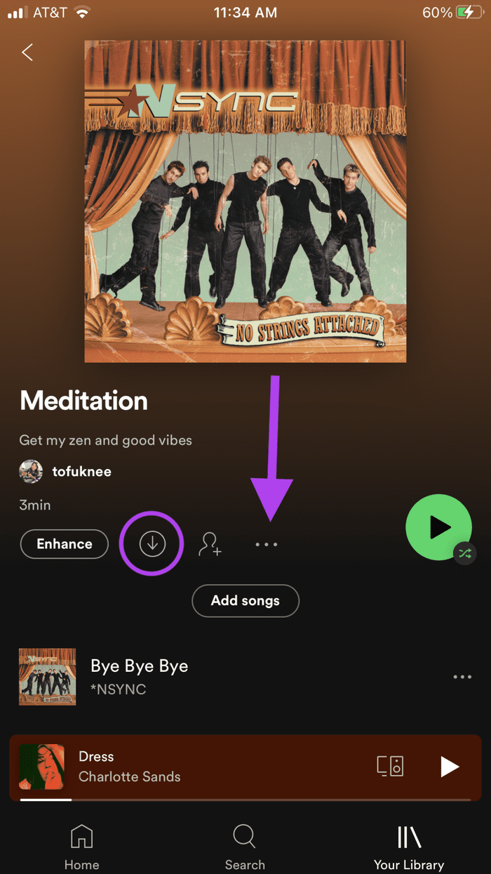 Download Spotify Buttons