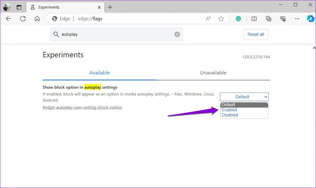 Enable Block Option for Autoplay in MS Edge