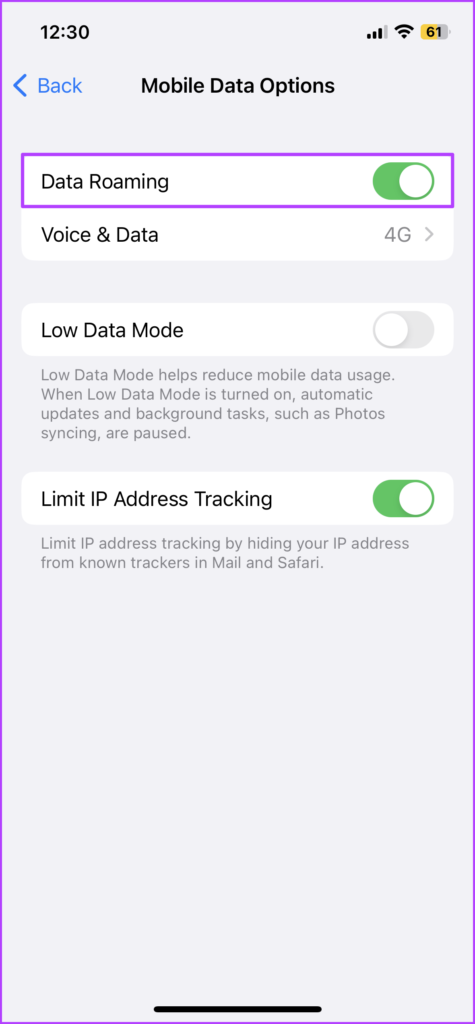 Toggle on Data Roaming on iPhone